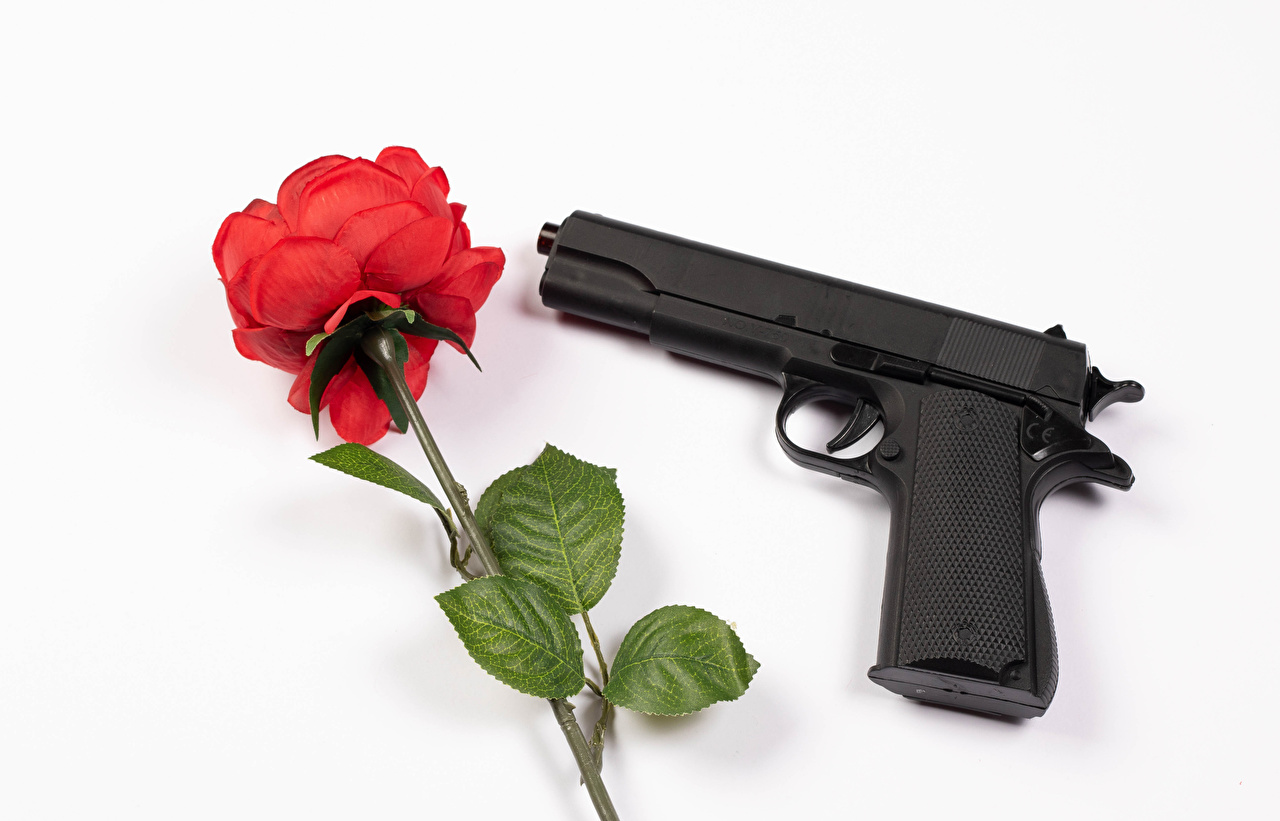 Приветственная иконка сайта - пистолет с розой
